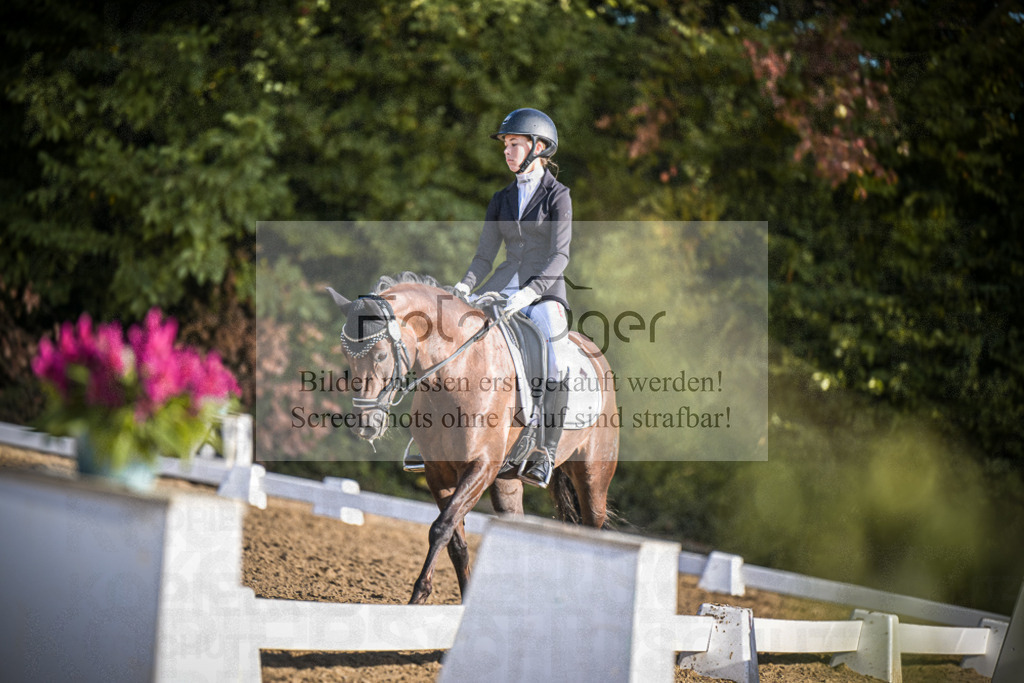DOS_0665 | Entdecke hochwertige Reitturnierfotos von Foto Oger. Professionell, emotional und authentisch – jetzt Lieblingsmomente im Shop bestellen.Deutschlandweite Turnierfotografie. - Realisiert mit Pictrs.com