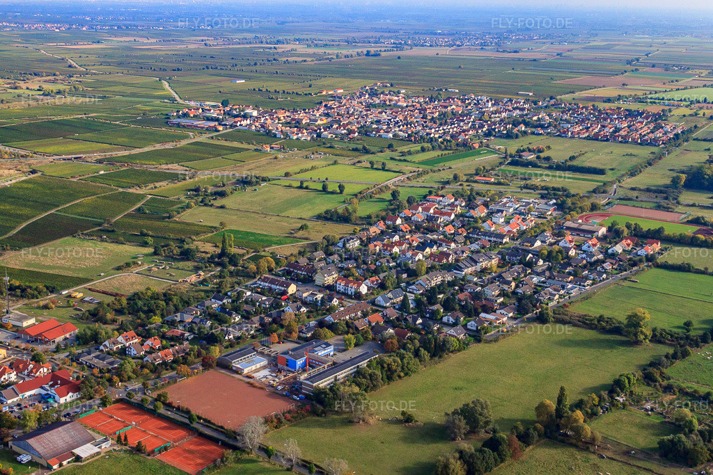Luftbild: Ortsteil Ost in Deidesheim im Bundesland Rheinland-Pfalz in Deutschland. Foto: IMG_22010.jpg vom 15.10.2009 durch Werner Riehm/FLY-FOTO.de