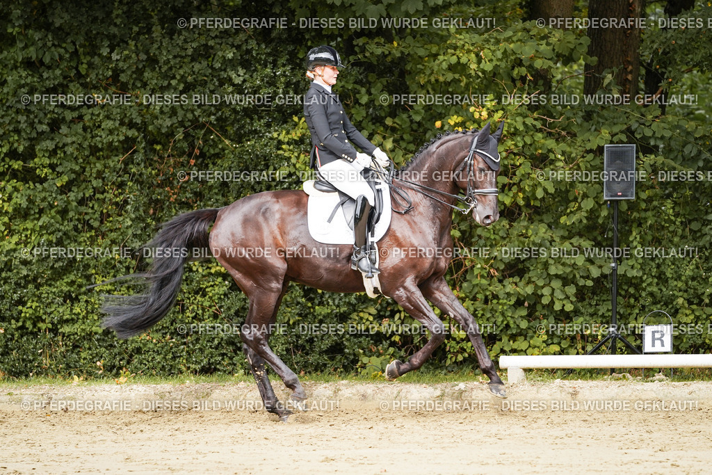 DSC02307 | Pferdegrafie