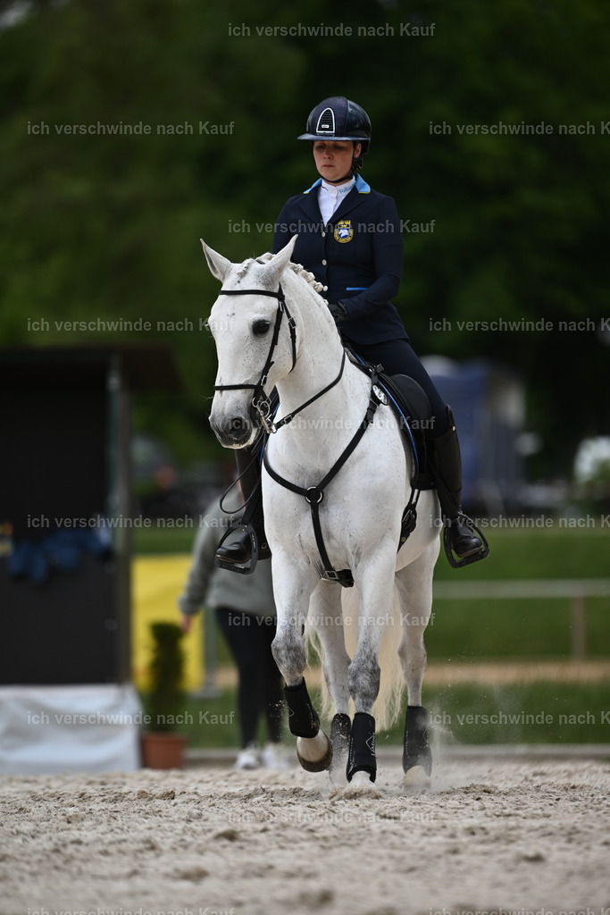 PI26_ST_Sara_Landvogt226_4201.JPG | working equitationturnier fotograf videograf stoibphotography marixx film working equitation deutschland reitsport turnierfotografie eventfotografie equestrian events