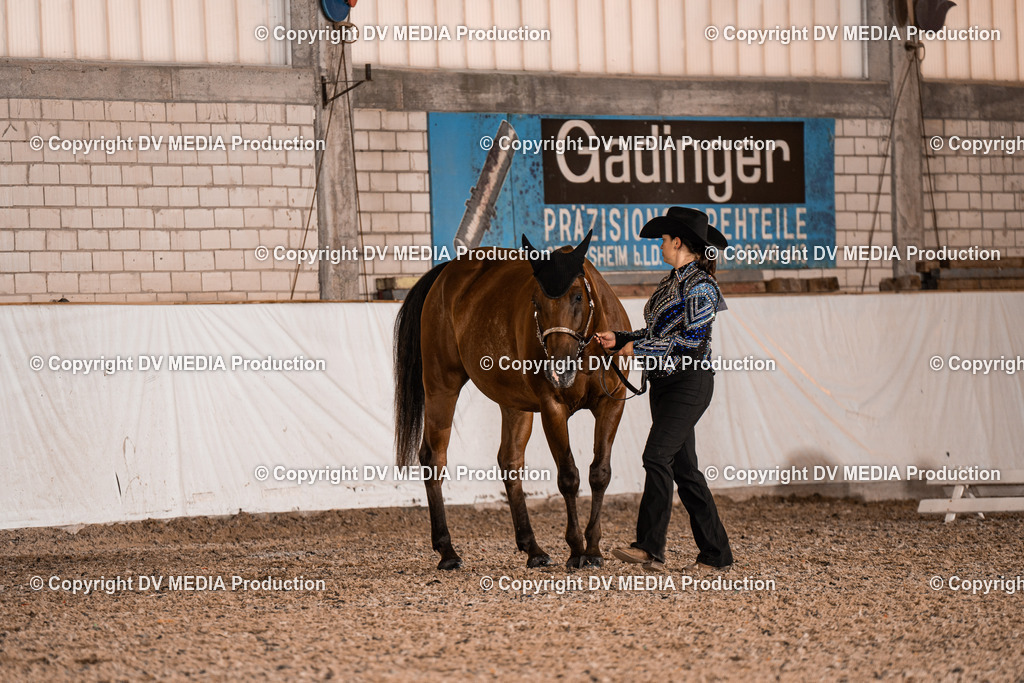 ZH200043 | dv-media-shop - Realisiert mit Pictrs.com