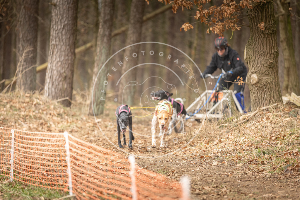 Pfotenfotografie_DV3A4776 | Hundefotografie, Tierfotograf, Pfotenfotografie, Fotoshooting Hund, Hunde Portrait, Hundesport, Hundeportraits, Heideshooting, Hunde, Sportfotograf, Hundefotograf, Turnierhundsport, THS,  - Realisiert mit Pictrs.com