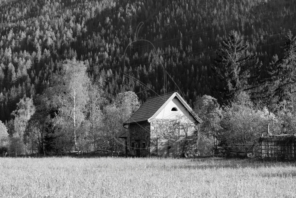 Bilderausstellung Thomataler Wirt | Bei Veröffentlichung des Bildes ist eine Namensnennung wie folgt erforderlich: 
Foto: Mostdirn Irmgard Wieser - Realisiert mit Pictrs.com