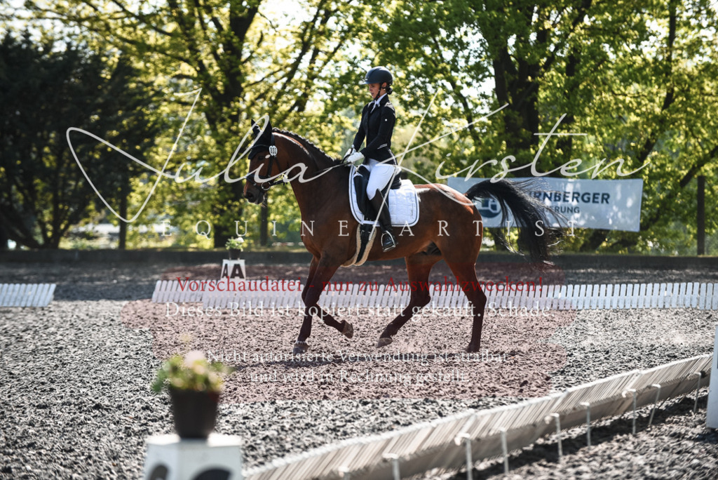 DSC_8934 | Pferde- und Turnierfotografie in Westsachsen. Pferdeportraits, Auftragszeichnungen und intuitive Kunst.