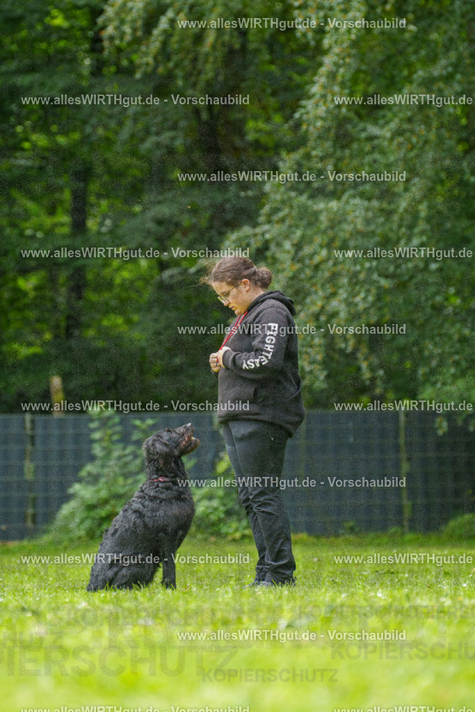 @allesWIRTHgut_Tierfotografie - www.allesWIRTHgut.de - 7R500693 | Professionelle Tierfotografie in Mönchengladbach von Daniel Wirth (allesWIRTHgut). Liebevolle & natürliche Bilder von Hunden & Katzen für unvergessliche Erinnerungen.