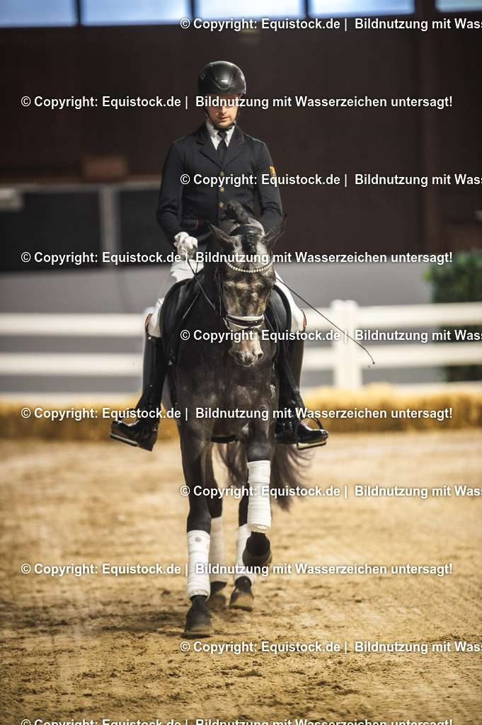 20240302_Hengstvorstellung_Marbach_TOMsPiC_0176 | equistock