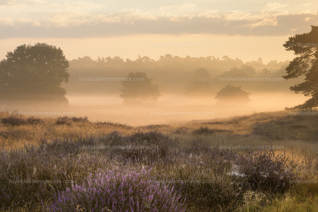 DSC_1126 | invaluablemoments.com - Realisiert mit Pictrs.com