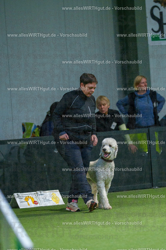 7R509899 | Professionelle Tierfotografie in Mönchengladbach von Daniel Wirth (allesWIRTHgut). Liebevolle & natürliche Bilder von Hunden & Katzen für unvergessliche Erinnerungen.