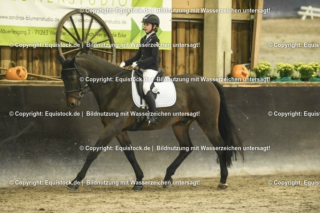 20231029_04_Dressur-WB_0215 | Foto: Thomas Hartig