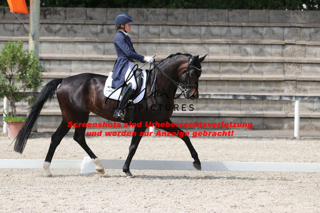 IMG_7165 | lmwpictures - Realisiert mit Pictrs.com