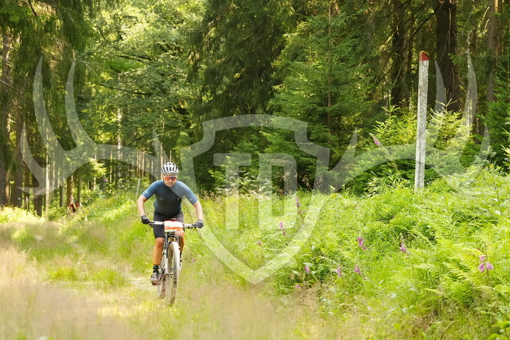 FC103168 | Fotogalerie der Treibjagd im Dunkelwald - Dein MTB Etappenrennen im Erzgebirge - Realisiert mit Pictrs.com