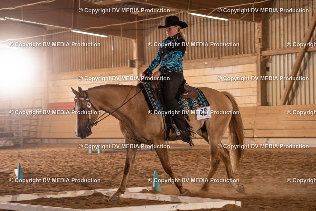 NID00853 | dv-media-shop - Realisiert mit Pictrs.com