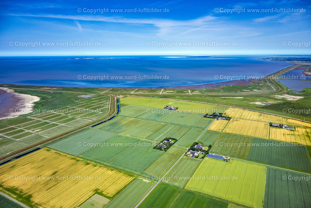 Klanxbüll_Hindenburgdamm_Nordhörn_Strasse_ELS_3815210625 | FRIEDRICH-WILHELM-LüBKE-KOOG 21.06.2025 Klanxbüll Wattenmeer der Nordsee- Küste am Hindenburgdamm in Sylt im Bundesland Schleswig-Holstein. // Klanxbuell Wadden Sea of the North Sea coast at the Hindenburgdamm in Sylt in the federal state of Schleswig-Holstein. Foto: Martin Elsen