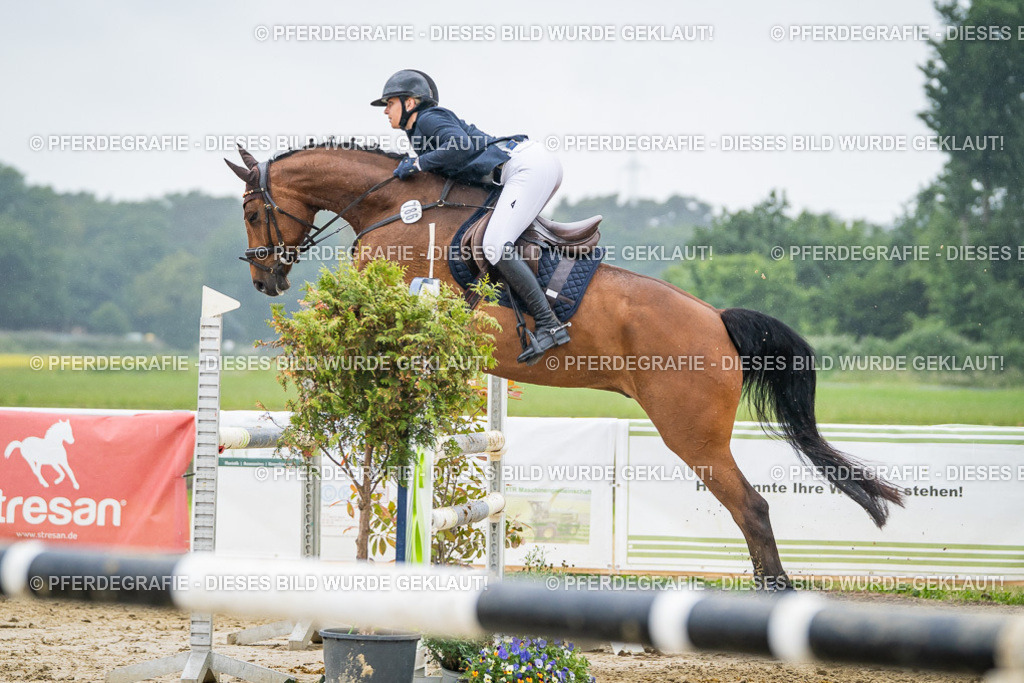 DSC02997 | Pferdegrafie