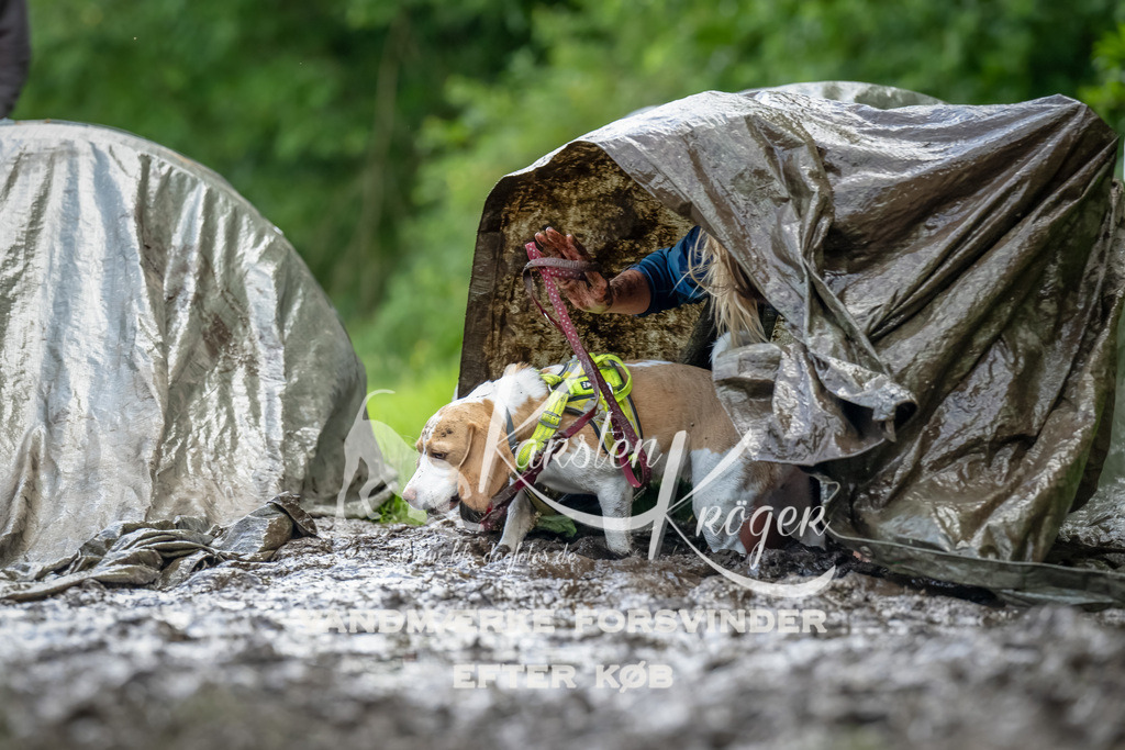 1141_ZZ93895-Bearbeitet | kk-dogfotos