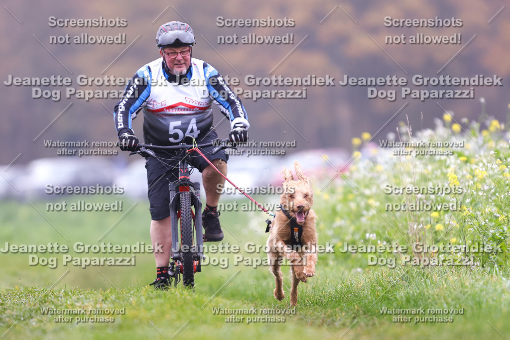 Dog Paparazzi - Visbeck 25 -233 | Dog Paparazzi Jeanette Grottendiek Fotografie & Videografie