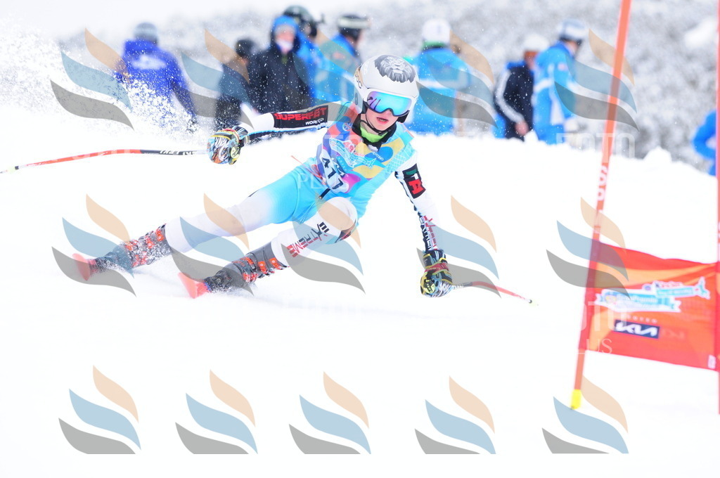 C4322 | holidayphoto