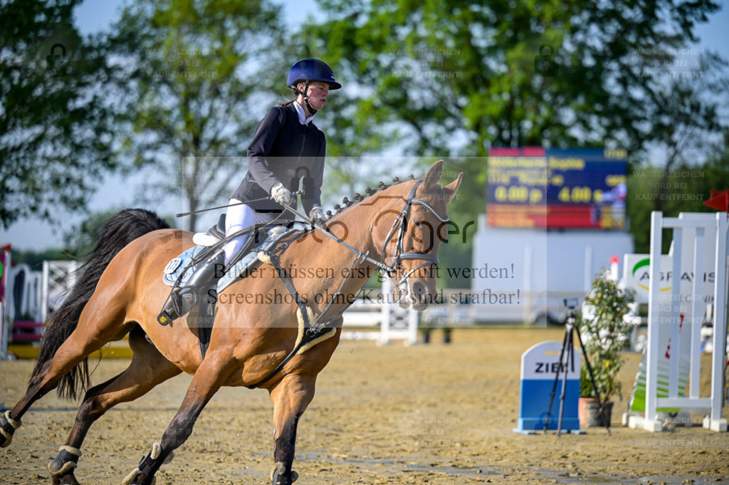 Reitturnier Lienen | Entdecke hochwertige Reitturnierfotos von Foto Oger. Professionell, emotional und authentisch – jetzt Lieblingsmomente im Shop bestellen. - Realisiert mit Pictrs.com