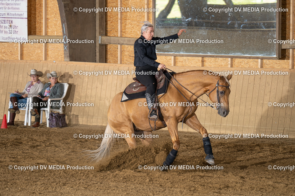 DSC00096 | dv-media-shop - Realisiert mit Pictrs.com