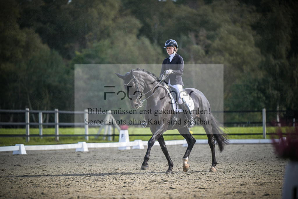 DOS_0251 | Entdecke hochwertige Reitturnierfotos von Foto Oger. Professionell, emotional und authentisch – jetzt Lieblingsmomente im Shop bestellen.Deutschlandweite Turnierfotografie. - Realisiert mit Pictrs.com