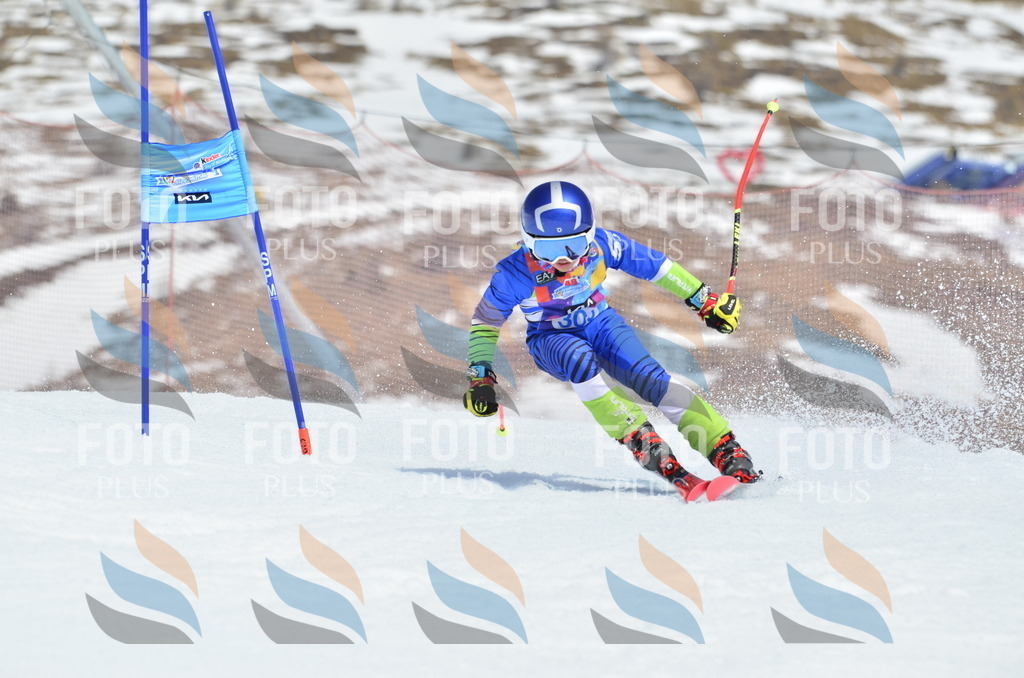 _ELE2250 | holidayphoto