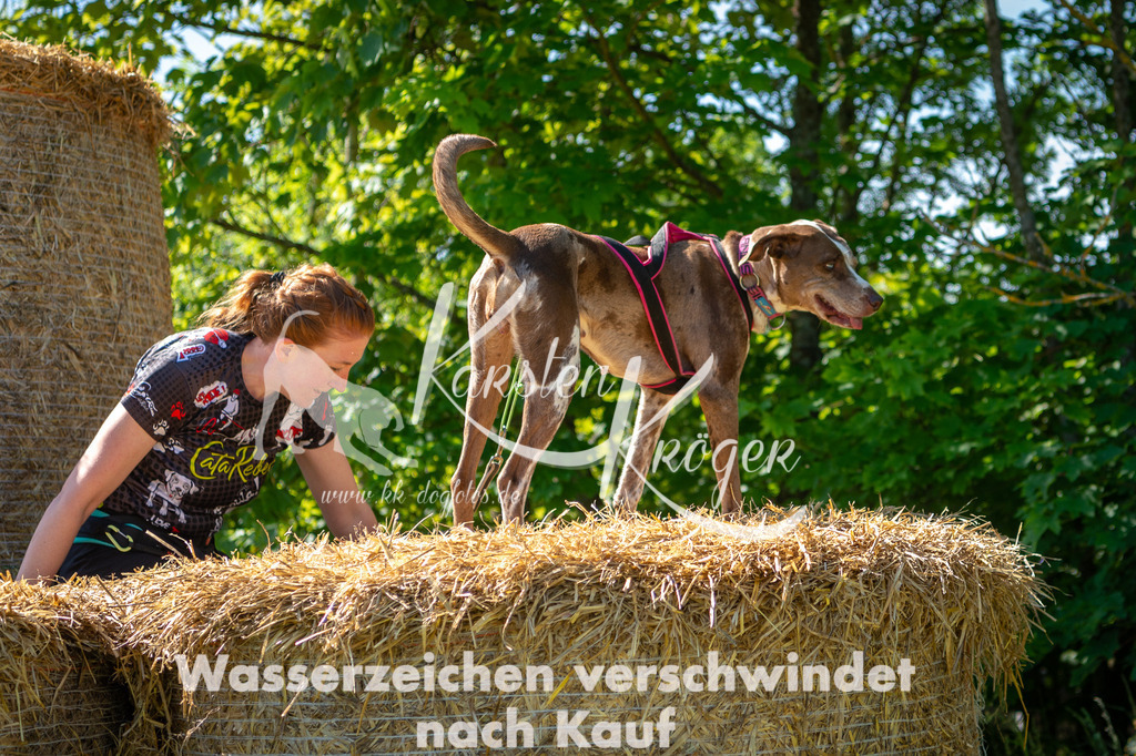 1020STR_5356 | kk-dogfotos