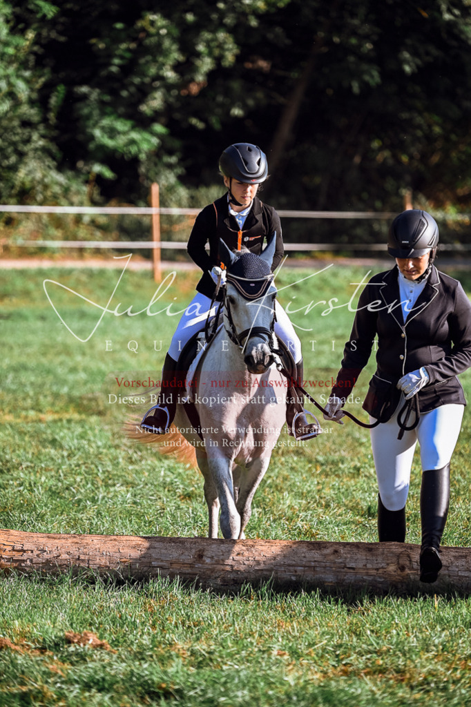 DSC_0409 | Pferde- und Turnierfotografie in Westsachsen. Pferdeportraits, Auftragszeichnungen und intuitive Kunst.