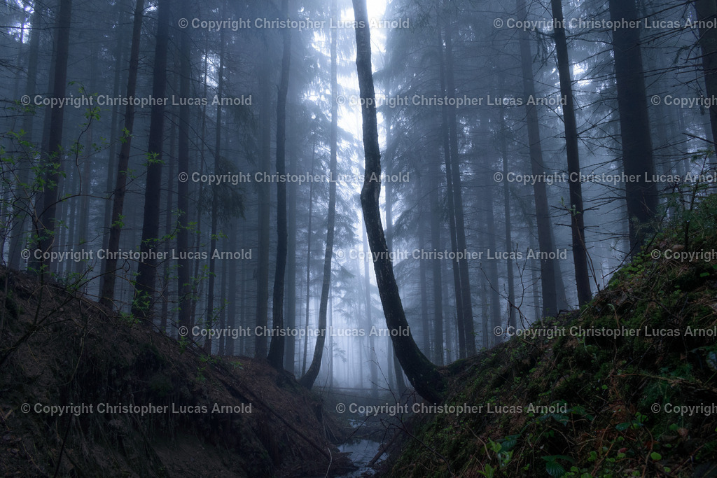 DSC_0506 | bildkomponist - Realisiert mit Pictrs.com