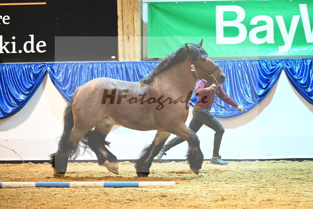 Kat-Nr. 42 Albrecht von Schernikau_Roemmer_53221256 | hf-fotografie - Realizzato con Pictrs.com