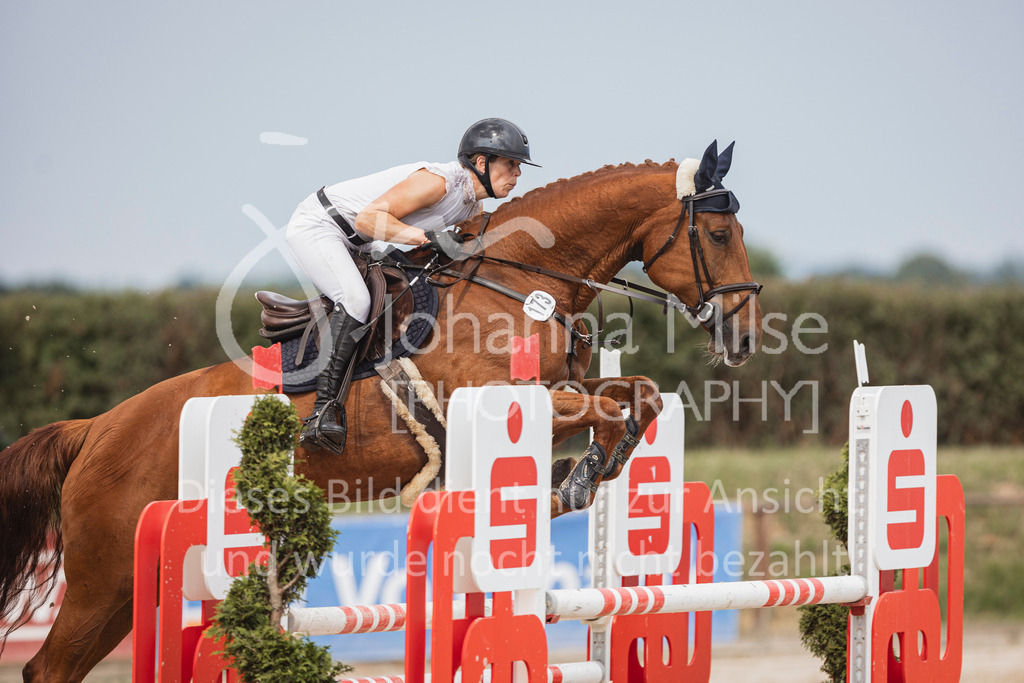 240627_LüPfSpTa_SprPf-L-129 | Deine schönsten Turniermomente als professionelle Fotos! Entdecke hochwertige Pferdesport-Fotografie im Online-Shop. Jetzt Fotos finden & bestellen!