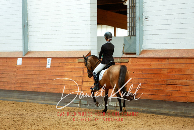 _62_4657 | Turniersportfotografie; Pferdefotografie; Dressurfotografie