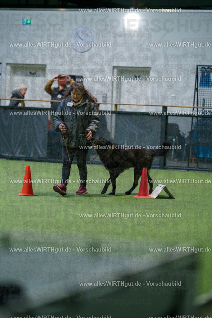7R500050 | Professionelle Tierfotografie in Mönchengladbach von Daniel Wirth (allesWIRTHgut). Liebevolle & natürliche Bilder von Hunden & Katzen für unvergessliche Erinnerungen.