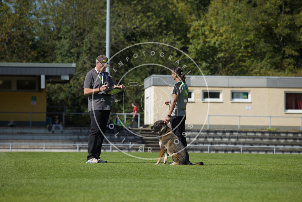0L8A2551 | Hundefotografie, Tierfotograf, Pfotenfotografie, Fotoshooting Hund, Hunde Portrait, Hundesport, Hundeportraits, Heideshooting, Hunde, Sportfotograf, Hundefotograf, Turnierhundsport, THS,  - Realisiert mit Pictrs.com