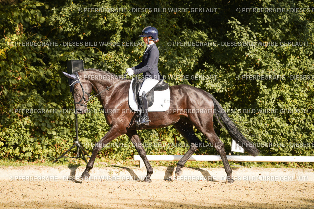 DSC06232 | Pferdegrafie