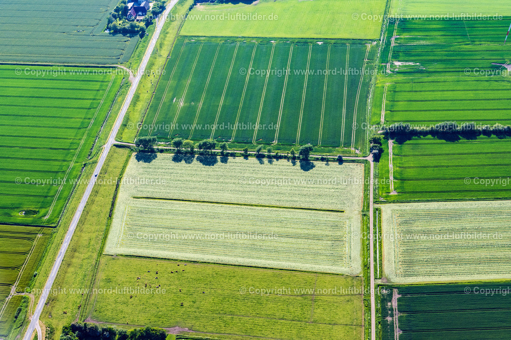 Gotteskoog Deich_ELS_0275300523 | NIEBüLL 30.05.2023 Gehöft und Bauernhof- Nebengebäude am Rand von landwirtschaftlich genutzten Feldern " Gotteskoogdeich " in Niebüll Nordfriesland im Bundesland Schleswig-Holstein, Deutschland. // Homestead and farm outbuildings on the edge of agricultural fields " Gotteskoogdeich " in Niebuell North Friesland in the state Schleswig-Holstein, Germany. Foto: Martin Elsen