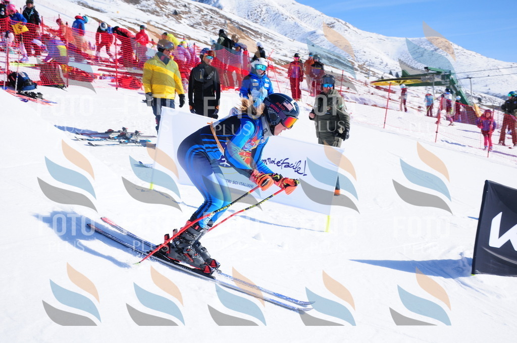 DSC_3646 | holidayphoto