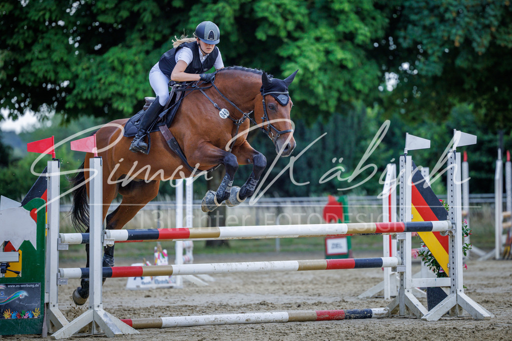 20260705-_3LI4551 | Tierfotografie Pferde, Hunde, Katzen, Haustiere.
Turnierfotografie Reitturniere, Reiten, Springreiten, Dressur in Hanau, dem Main-Kinzig-Kreis und dem Rhein-Main- Gebiet um Frankfurt