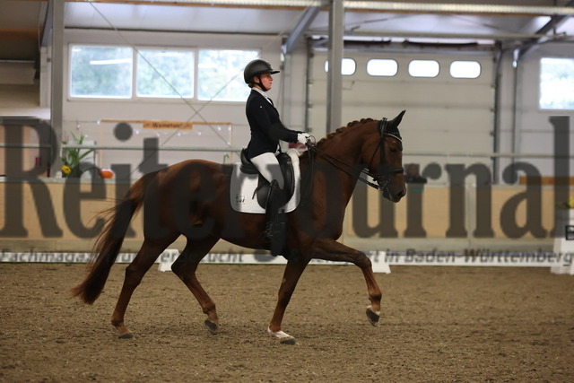 Waghäusel-Wiesental_2024_Prfg.Nr.08_1.WP_U25_Clara Kohoutek_Belinda FRH (6) | Alle Fotos der Reiterjournal Fotografin Doris Matthaes im Reiterjournal Online-Fotoshop. - Realisiert mit Pictrs.com