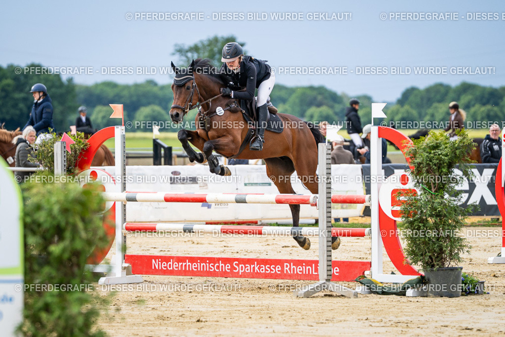 DSC03872 | Pferdegrafie