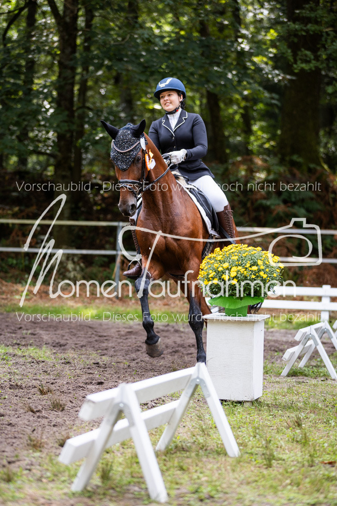 HB-Dressur-WB-126 | MomenTaufnahmen Pferdesportfotos