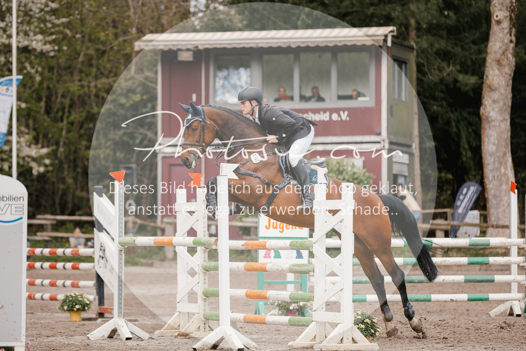 3I6A4372 | Stimmungsvolle Portraits und Reitsportfotografie im Ruhrgebiet und im Münsterland.

Pferdefotografie, Hundefotografie, Tierfotografie, Reportagen, Portraits von Tier und Mensch, Turnierfotografie in Bochum, Recklinghausen, Marl, Haltern am See, Dülmen.. - Realisiert mit Pictrs.com