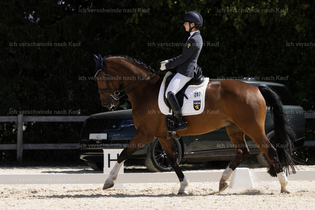 FHC2026_P02_207_13397 | Fichtenhof Classics 2026 – Dressurturnier, Reitanlage Fichtenhof, Schäftlarn