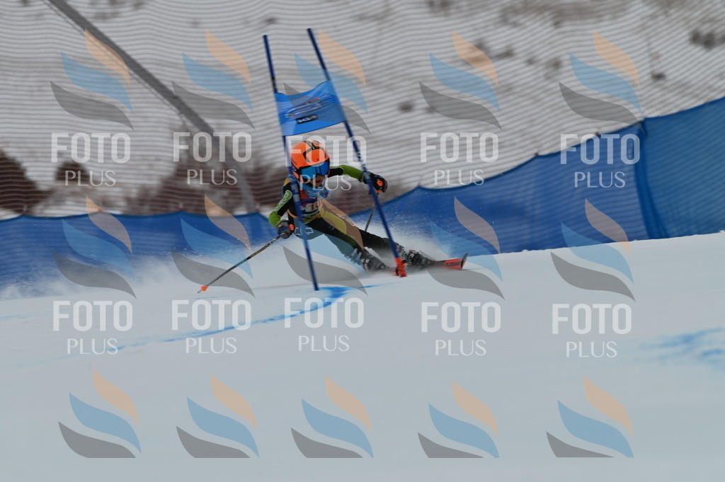 BGV_9396 | holidayphoto