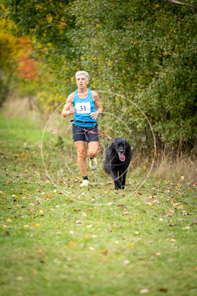 Pfotenfotografie_DV3A2106 | Hundefotografie, Tierfotograf, Pfotenfotografie, Fotoshooting Hund, Hunde Portrait, Hundesport, Hundeportraits, Heideshooting, Hunde, Sportfotograf, Hundefotograf, Turnierhundsport, THS,  - Realisiert mit Pictrs.com