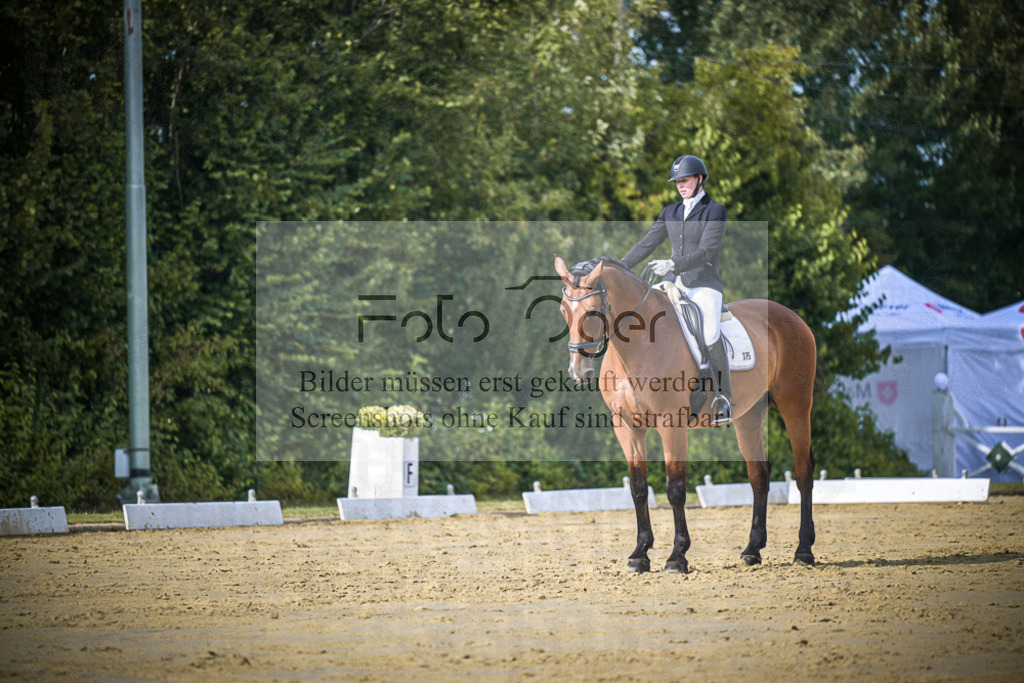 DOS_8263 | Entdecke hochwertige Reitturnierfotos von Foto Oger. Professionell, emotional und authentisch – jetzt Lieblingsmomente im Shop bestellen.Deutschlandweite Turnierfotografie. - Realisiert mit Pictrs.com