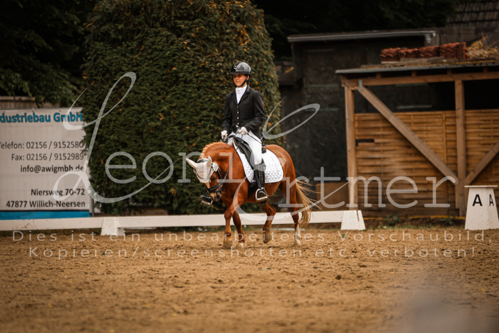 DoDrE00459 | Leoni Ertmer Photography - Realisiert mit Pictrs.com