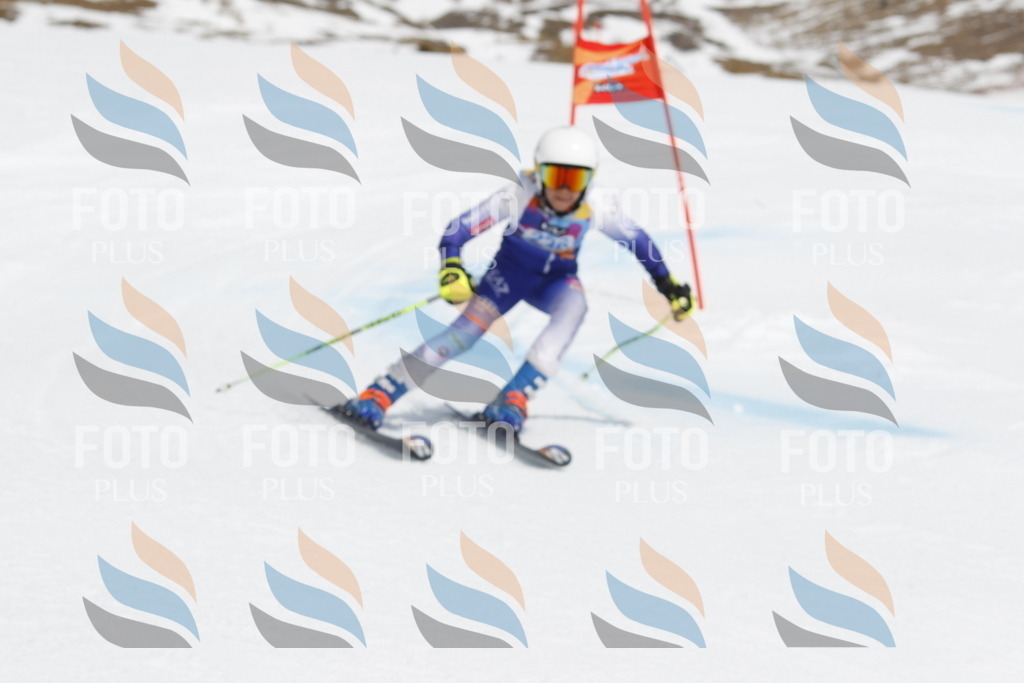 _U3G2623 | holidayphoto