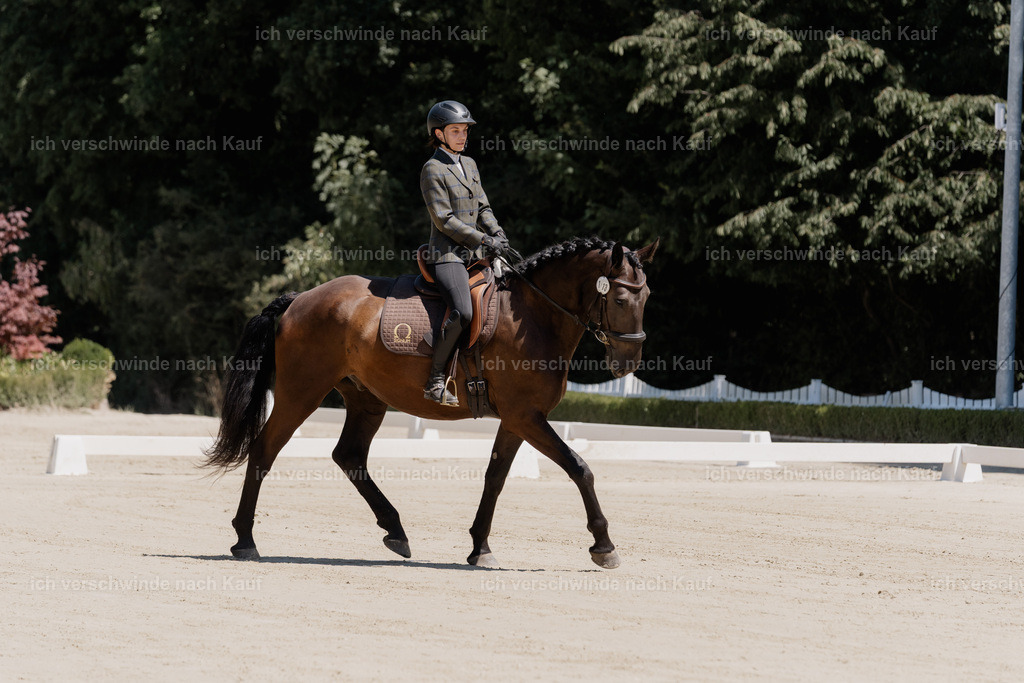 WE_DR_113_SinaFilmArt_IN02846 | working equitationturnier fotograf videograf stoibphotography marixx film working equitation deutschland reitsport turnierfotografie eventfotografie equestrian events