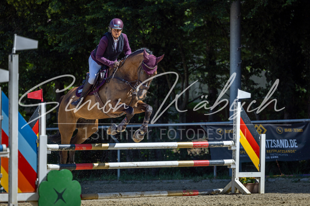 20260704-_3LI7666 | Tierfotografie Pferde, Hunde, Katzen, Haustiere.
Turnierfotografie Reitturniere, Reiten, Springreiten, Dressur in Hanau, dem Main-Kinzig-Kreis und dem Rhein-Main- Gebiet um Frankfurt