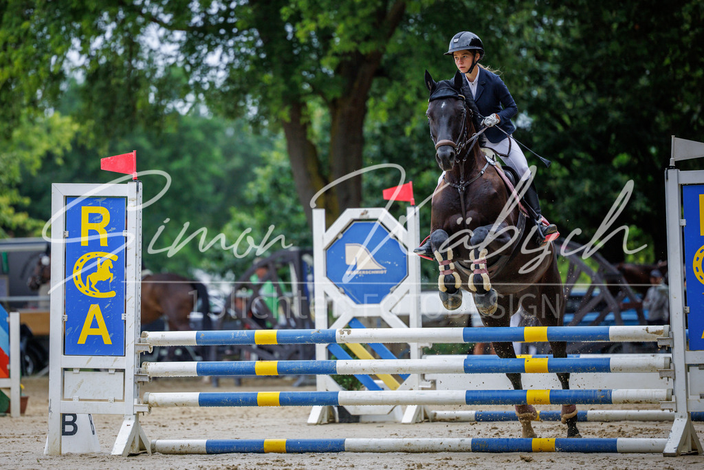 20260705-_3LI3599 | Tierfotografie Pferde, Hunde, Katzen, Haustiere.
Turnierfotografie Reitturniere, Reiten, Springreiten, Dressur in Hanau, dem Main-Kinzig-Kreis und dem Rhein-Main- Gebiet um Frankfurt